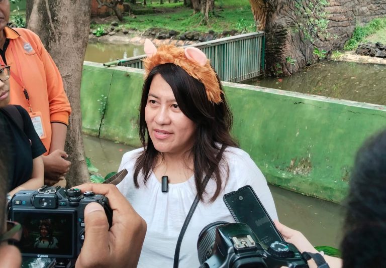 KBS Targetkan 200 Ribu Pengunjung Selama Natal dengan Hadirnya Singa Putih