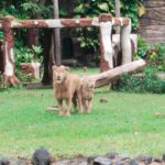 5106DCBF-39E4-4E3D-86F6-5ED02F9FB223