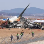 Jeju Air Bird Strike