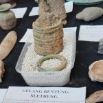 Gelang Bantengan Sletreng