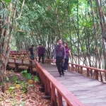 Penglipuran Jembatan Kayu