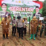 1a6c35e1-223b-4457-ac65-85e8fcf21982