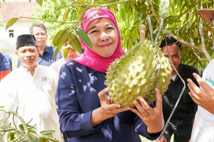 Khofifah Jatim Penghasil Durian