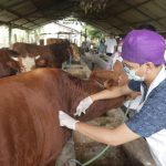 IMG_0906-e1652286289296