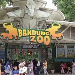 Kebun binatang bandung