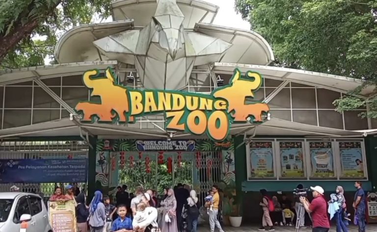 Sederet Upaya Walkot Farhan Selesaikan Konflik Dualisme di Bandung Zoo