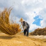 image_750x_6785b43b50904