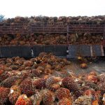 sawir-reuters-samsul-said-msl