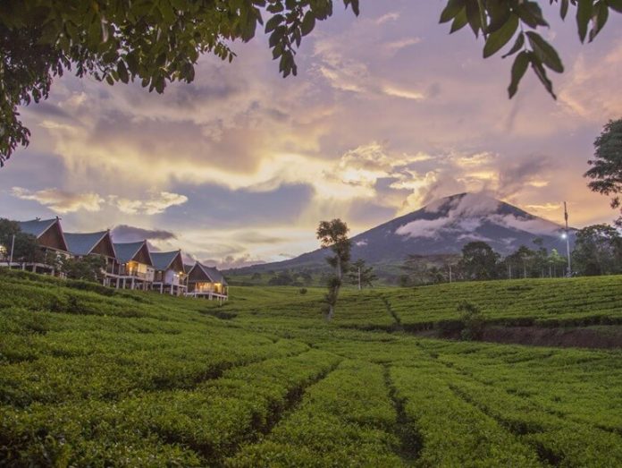 Desa Wisata Gunung Dempo