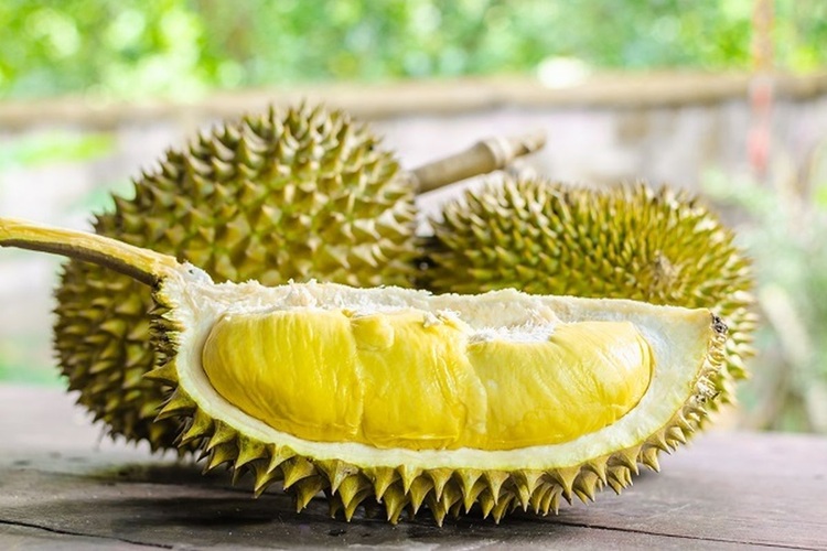Penyakit Konsumsi Durian