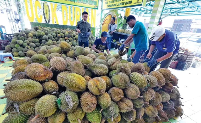 Surga Durian di Bali: 5 Tempat Wajib Mampir untuk Pecinta Durian