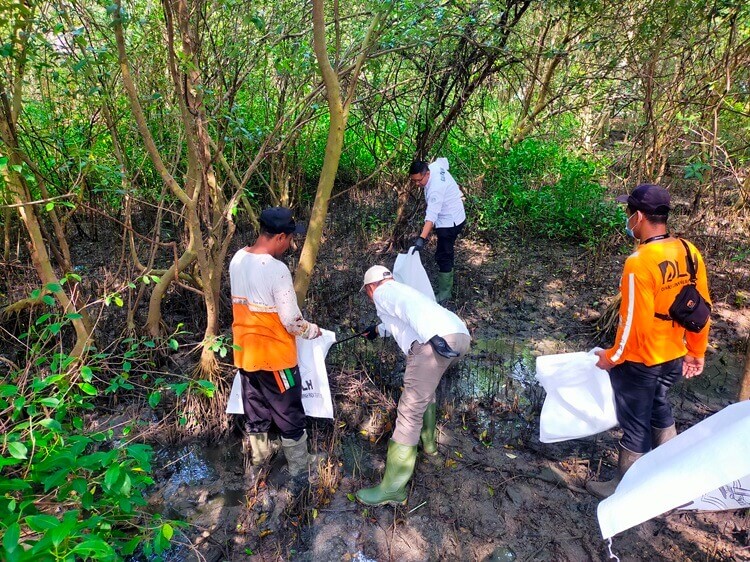 Pemkot Surabaya Mangrove Wonorejo