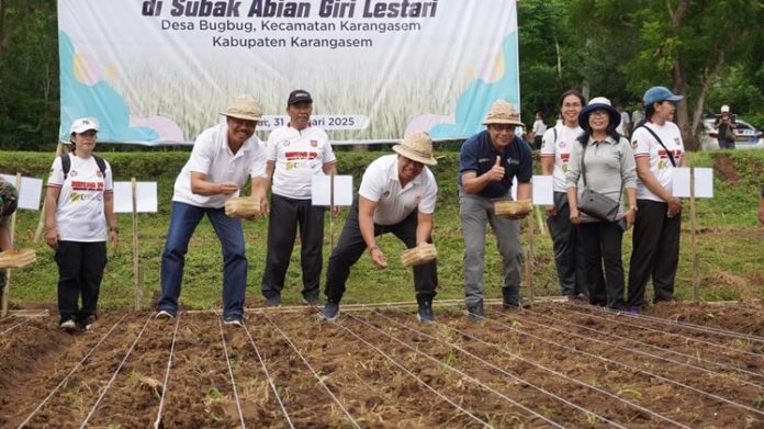 Gerakan Tanam Padi Gogo