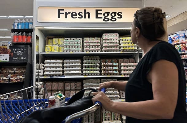 Amerika Krisis Telur