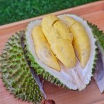 house-of-durian-1-1170×1170
