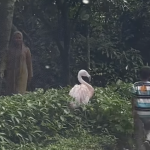 screenshot-2025-02-19-at-115540_q9mt