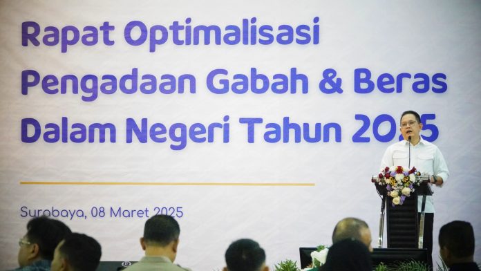 Lumbung Pangan Nasional