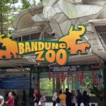 Bandung Zoo Bakal Tetap Buka Saat Libur Lebaran, Berikut Jadwal dan Harga Tiketnya