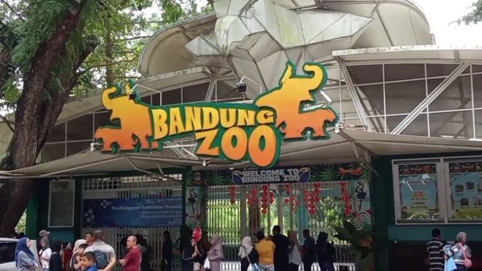 Bandung Zoo Bakal Tetap Buka