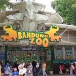 Bandung Zoo Bakal Tetap Buka Saat Libur Lebaran, Berikut Jadwal dan Harga Tiketnya.