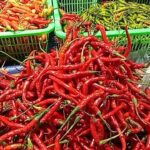 7648c63e-6c5f-4c7d-83b8-ffe0efb1b4ca