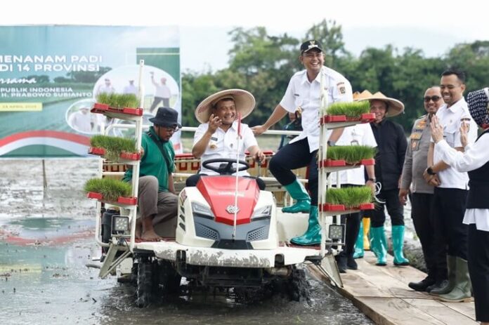 Penanaman Padi Jateng