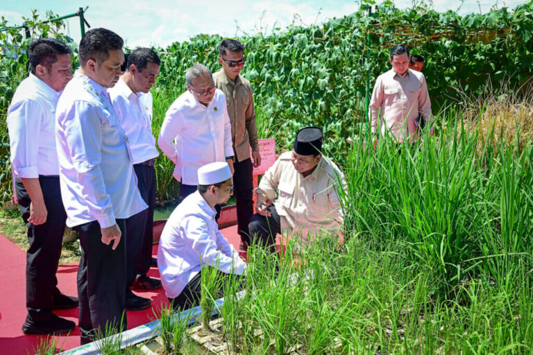 Presiden Prabowo: Indonesia Jadi Lumbung Pangan Dunia
