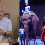 Taman Safari Indonesia Kini Jadi Sorotan Terkait Dugaan Eksploitasi Pekerja, Siapa Pemiliknya?