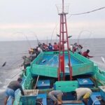 Indonesia Gunakan Cara Tradisional Tangkap Tuna, Apa Alasannya?