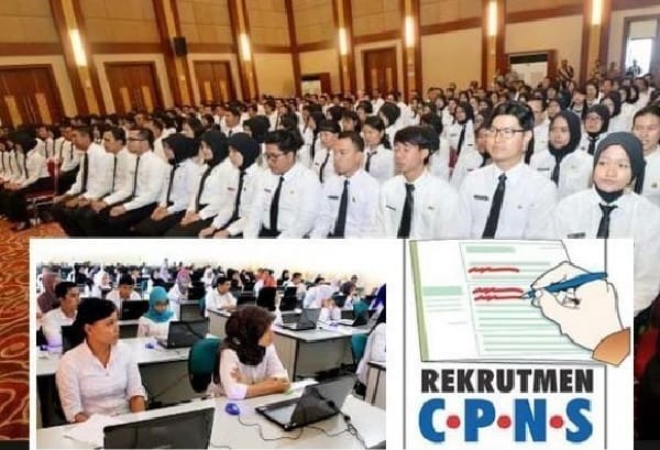 Link Pendaftaran CPNS 2025
