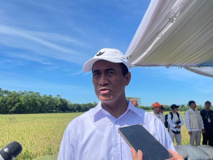 Produksi Beras Indonesia