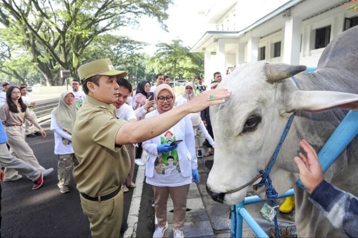 Pemkot Bandung Petugas Pemeriksa Hewan Kurban