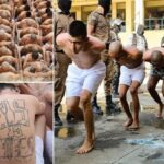 Daftar Penjara Paling Buruk di Dunia, Kepadatan Ekstrem hingga Penyiksaan Tahanan.