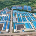 PT Amman Mineral Alami Kerugian Triliunan di Awal Tahun 2025, Kok Bisa?