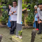 KDM Ingatkan Pengirim Ular King Kobra di Rumahnya, Bercandanya Sudah Berlebihan.