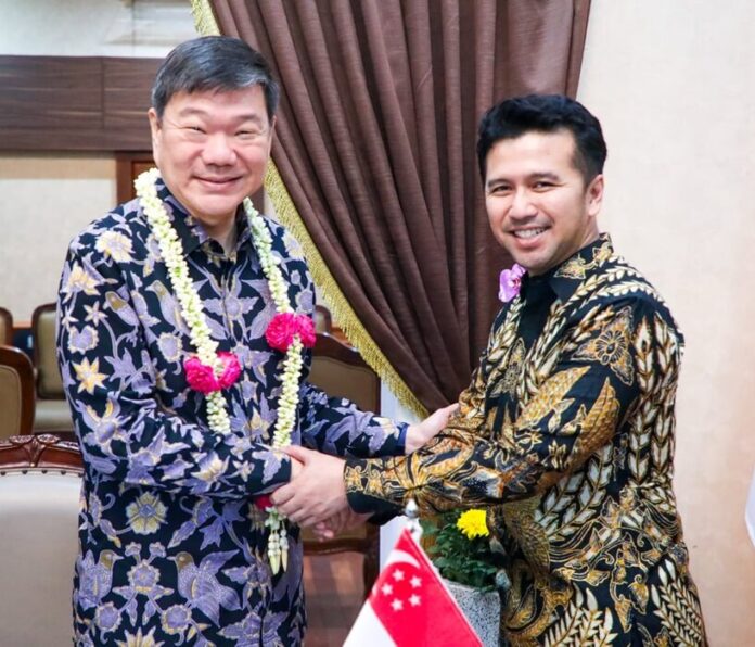 Wagub Emil Dubes Singapura