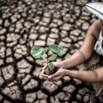 women-are-sitting-holding-seedlings-are-dry-land-warming-world_1150-16295