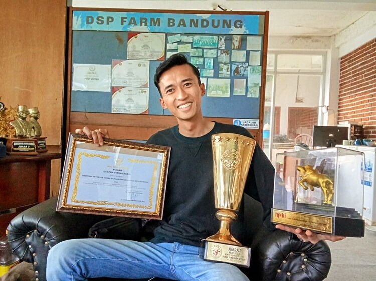 Beternak di Usia Muda, Peternak Milenial Bandung Raup Miliaran Rupiah dari Jualan Hewan Kurban