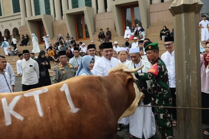 Pemprov Kaltim Sapi Kurban