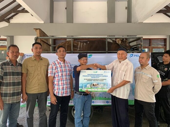 Pelabuhan Tanjung Wangi hewan kurban