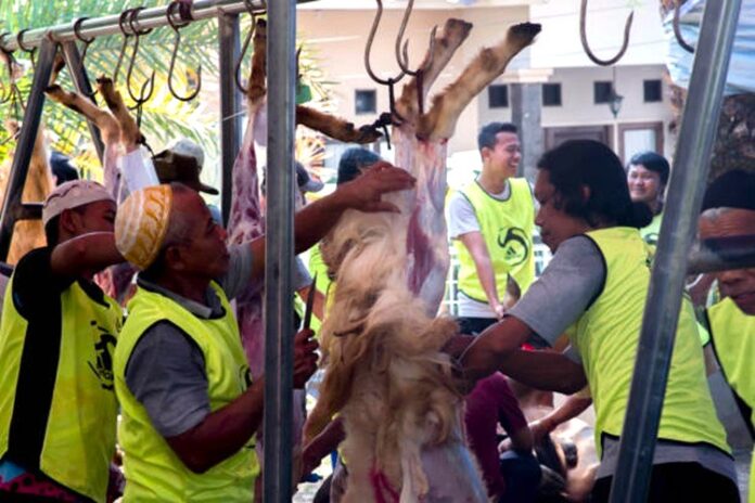 Kelola Limbah Kurban