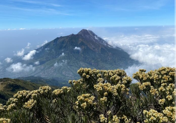 Gunung merbabu