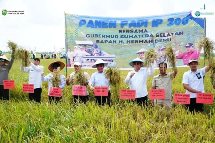 Panen Raya Banyuasin Sumsel