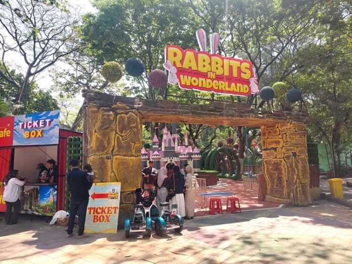 KBS Rabbit in Wonderland