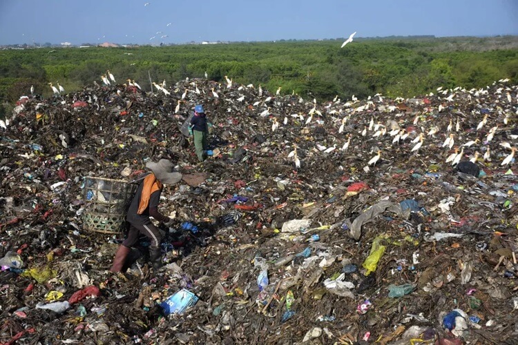 TPA Suwung Taman Kota