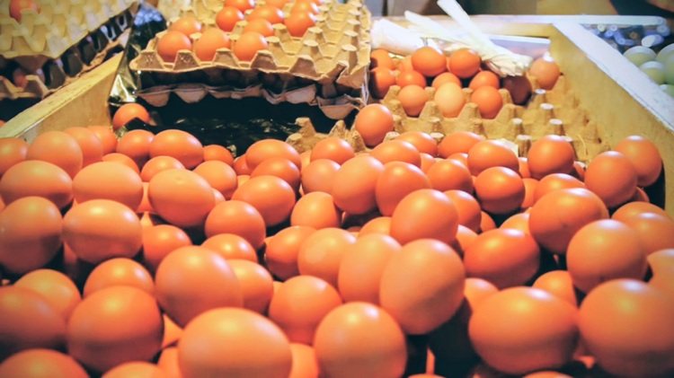 Dua Pekan Alami Kenaikan, Harga Telur di Bandung Tembus Rp 30 Ribu Per Kilo