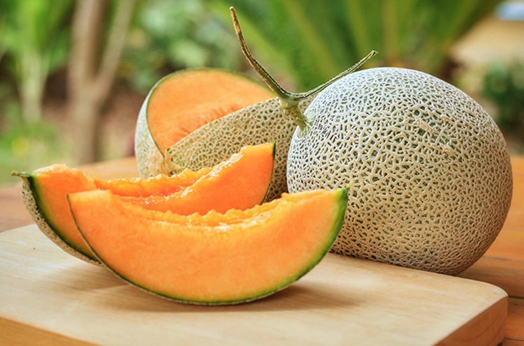 Tips Memilih Buah Melon