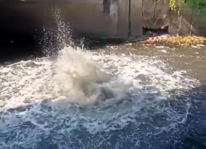 Semburan Gas Kali Gunung Anyar