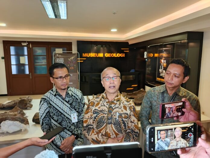 Fosil Gajah Purba Utuh