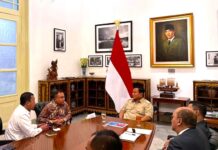 Prabowo Stabilitas Politik